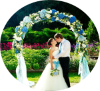 выездная регистрация брака, свадьбы в Витебске с песочной церемонией